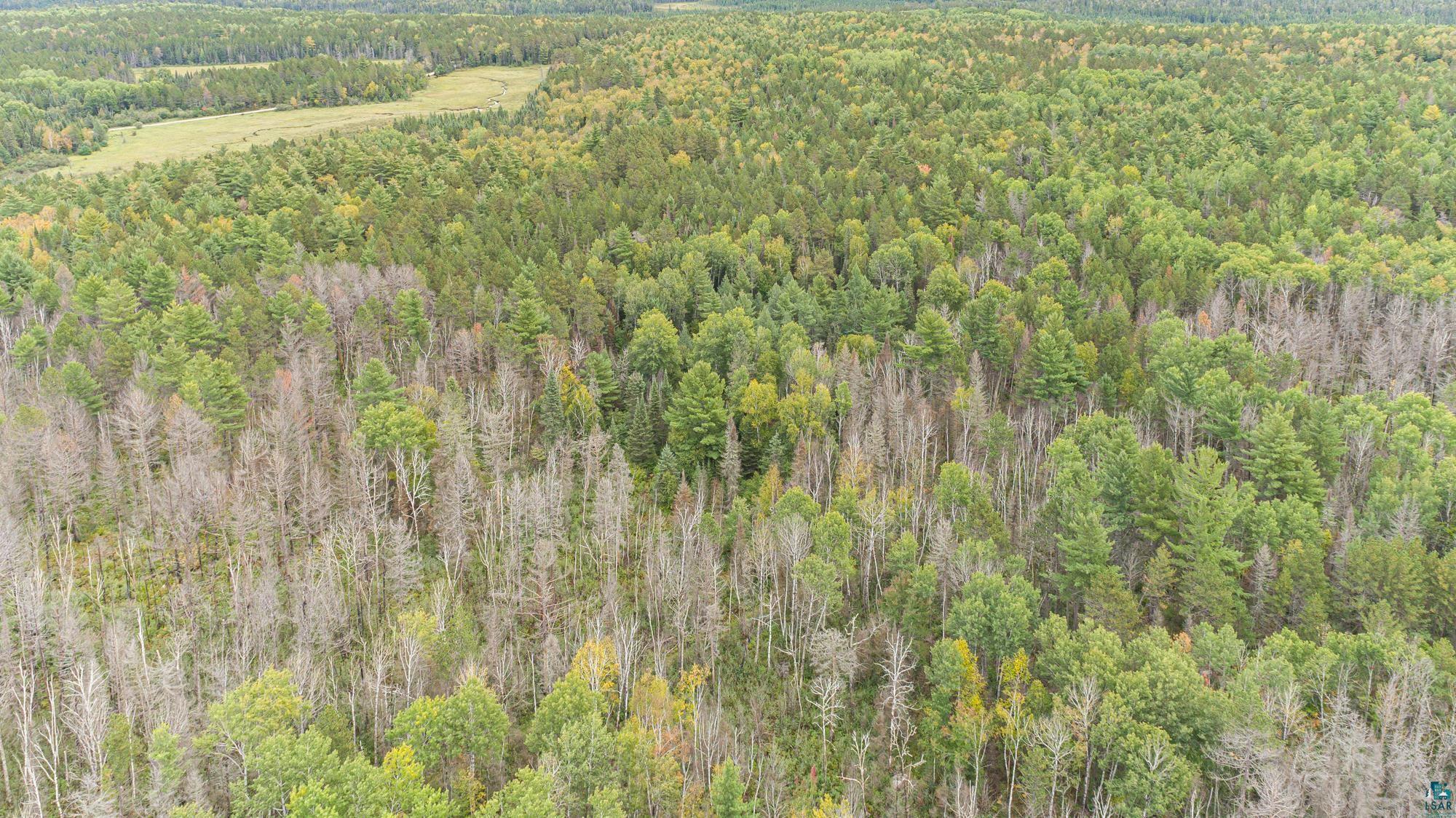 Xxxtbd Xxxtbd Moose Loop Orr, MN 55771 - Photo 15 of 45