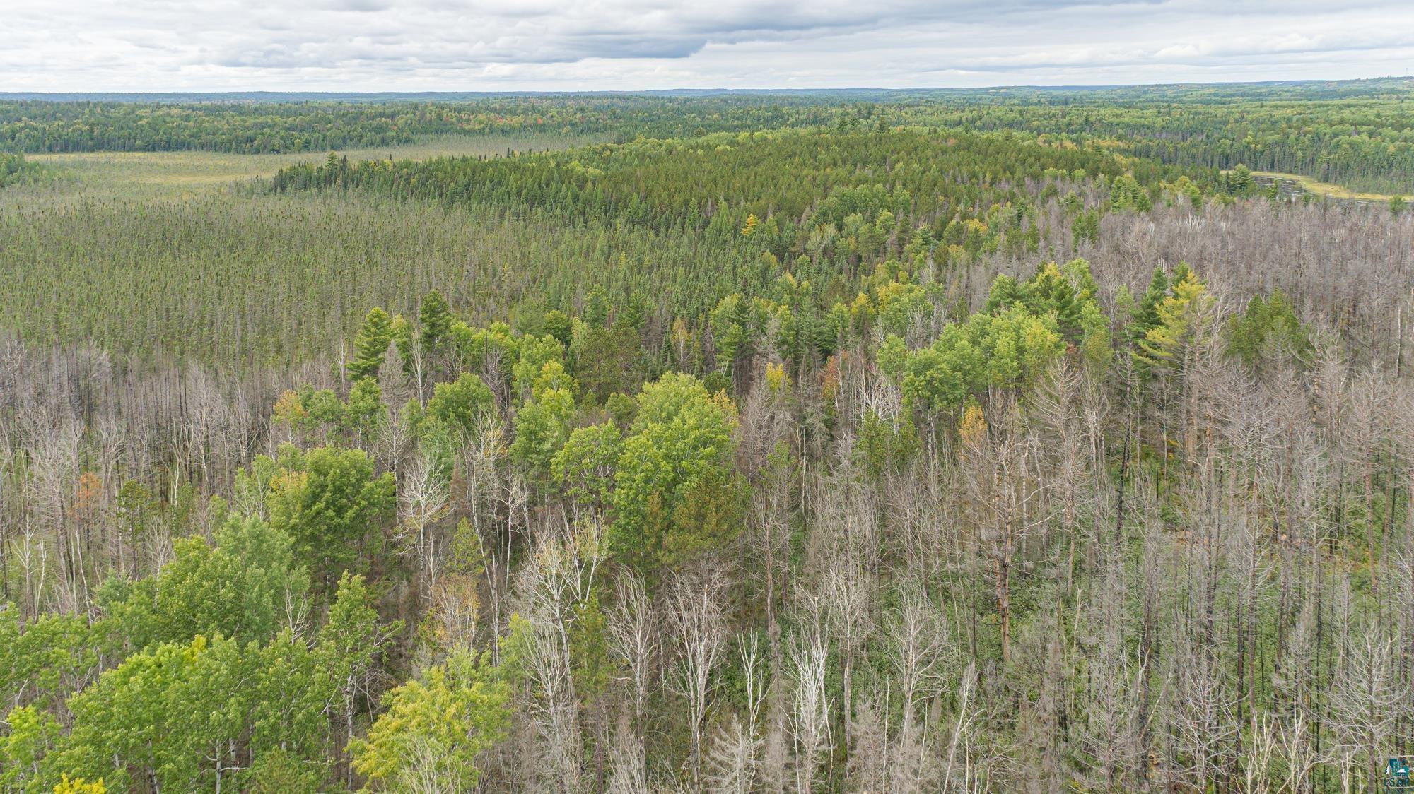 Xxxtbd Xxxtbd Moose Loop Orr, MN 55771 - Photo 16 of 45