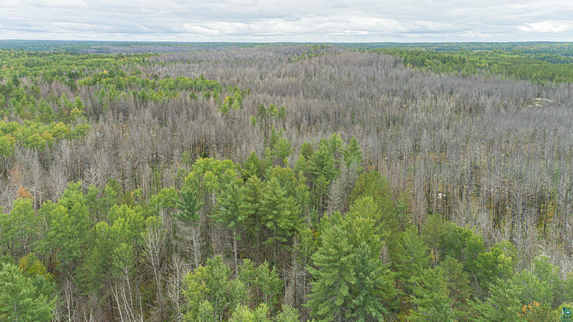 Xxxtbd Xxxtbd Moose Loop Orr, MN 55771 - Photo 17 of 45