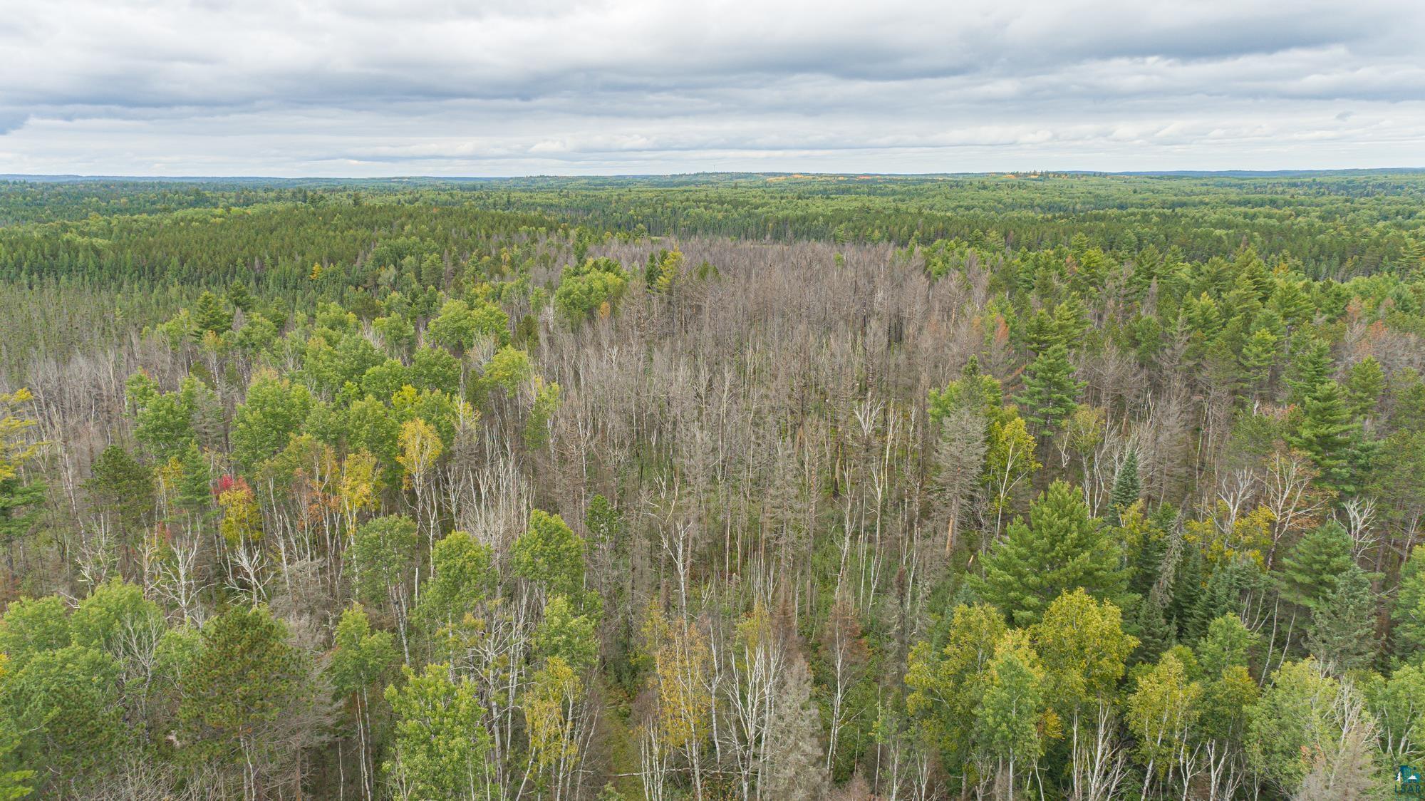 Xxxtbd Xxxtbd Moose Loop Orr, MN 55771 - Photo 18 of 45