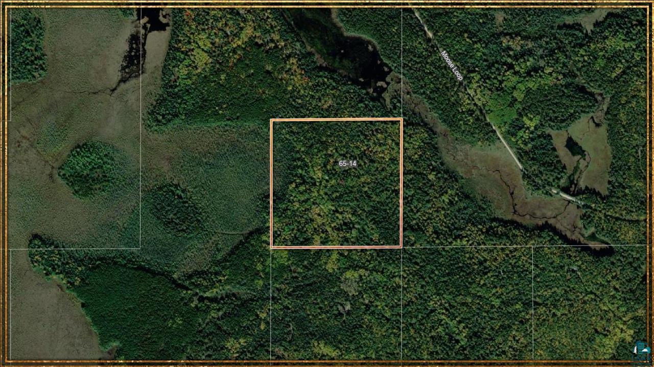 Xxxtbd Xxxtbd Moose Loop Orr, MN 55771 - Photo 2 of 45