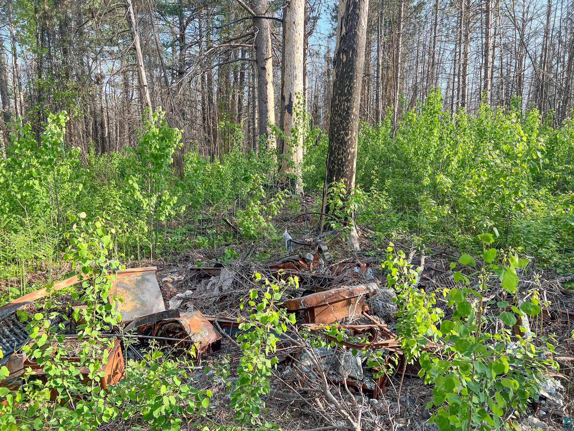Xxxtbd Xxxtbd Moose Loop Orr, MN 55771 - Photo 25 of 45