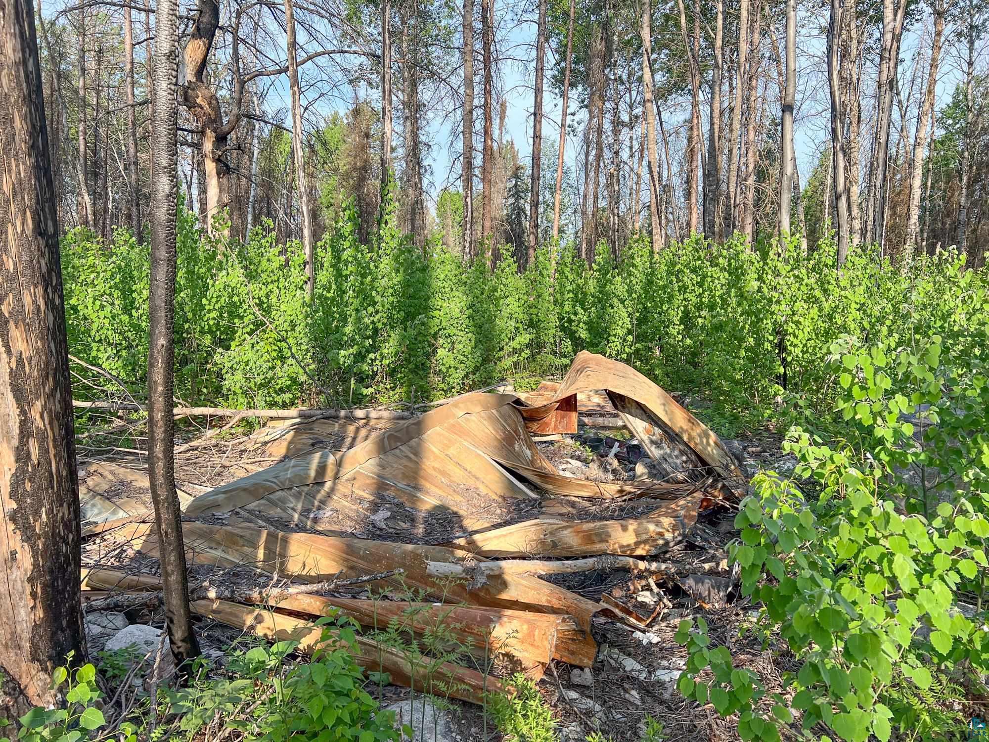 Xxxtbd Xxxtbd Moose Loop Orr, MN 55771 - Photo 28 of 45
