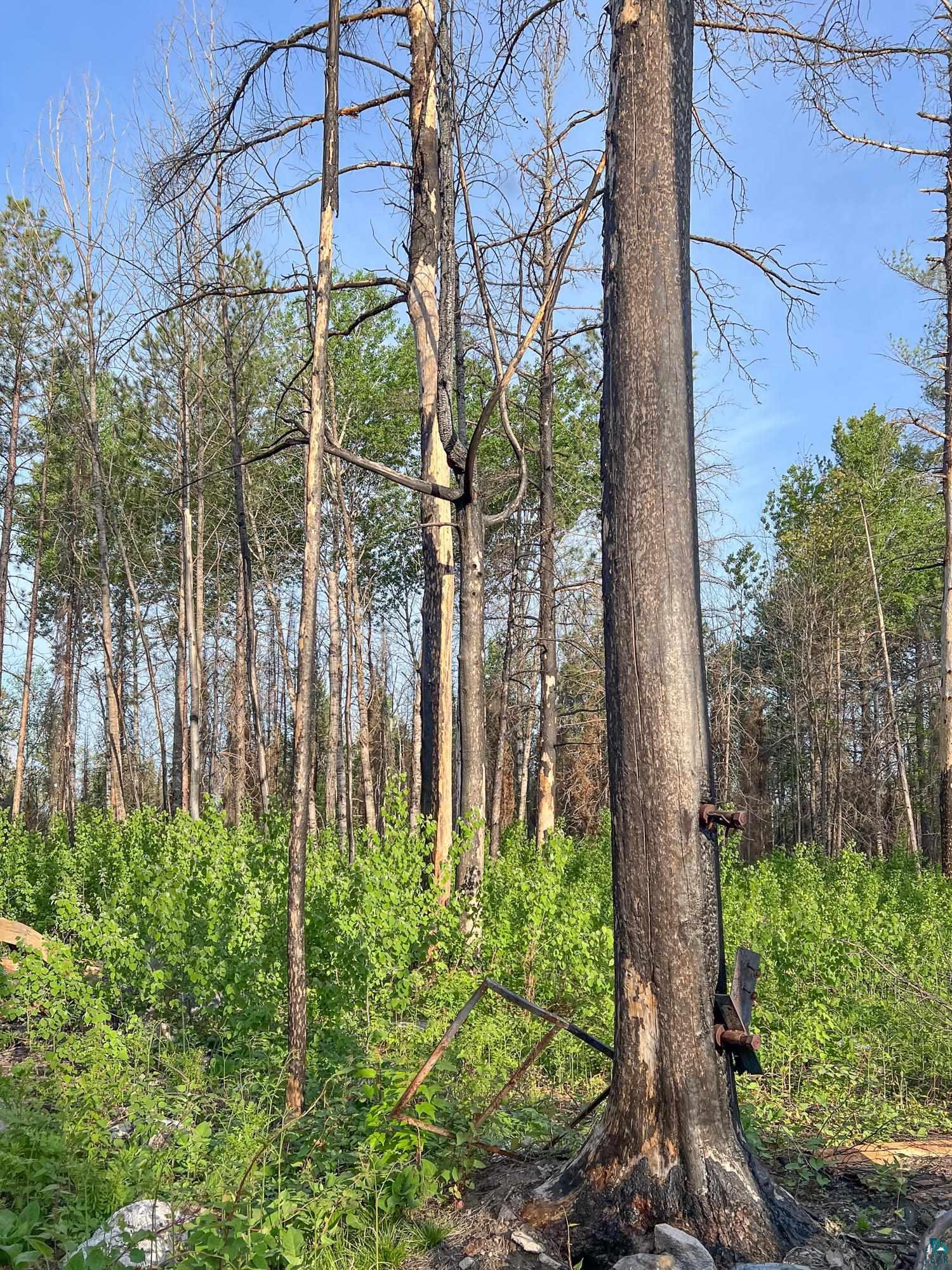 Xxxtbd Xxxtbd Moose Loop Orr, MN 55771 - Photo 30 of 45