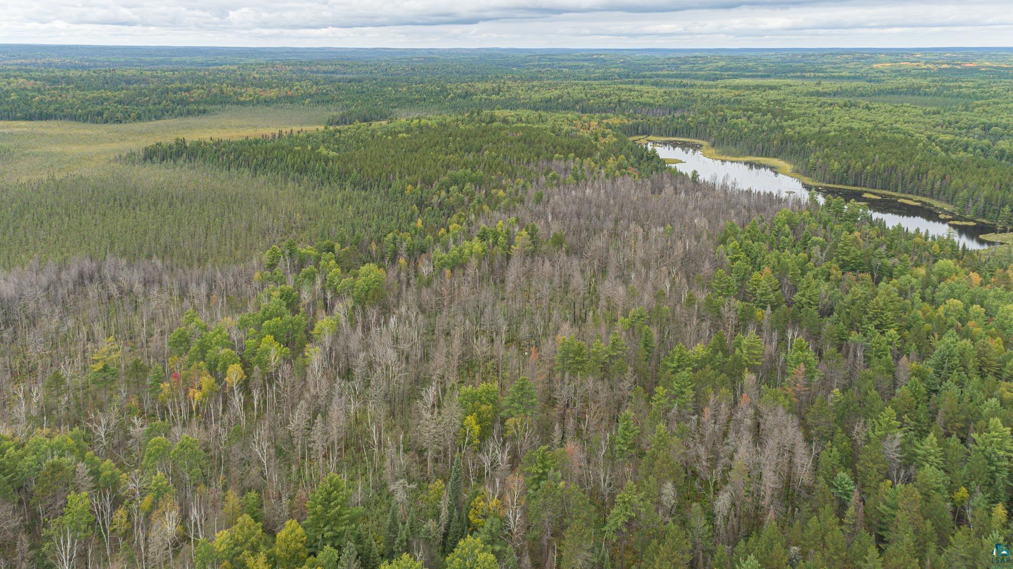 Xxxtbd Xxxtbd Moose Loop Orr, MN 55771 - Photo 3 of 45