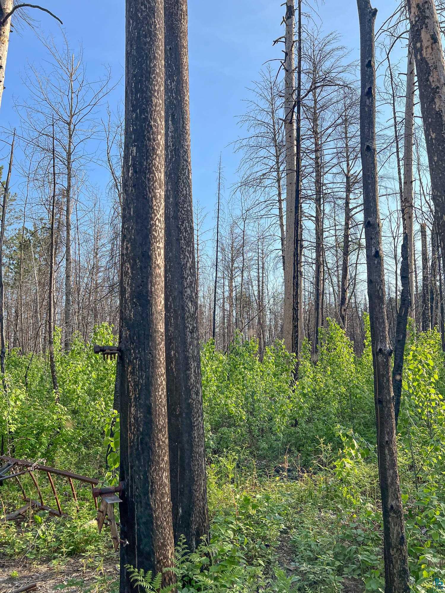 Xxxtbd Xxxtbd Moose Loop Orr, MN 55771 - Photo 31 of 45