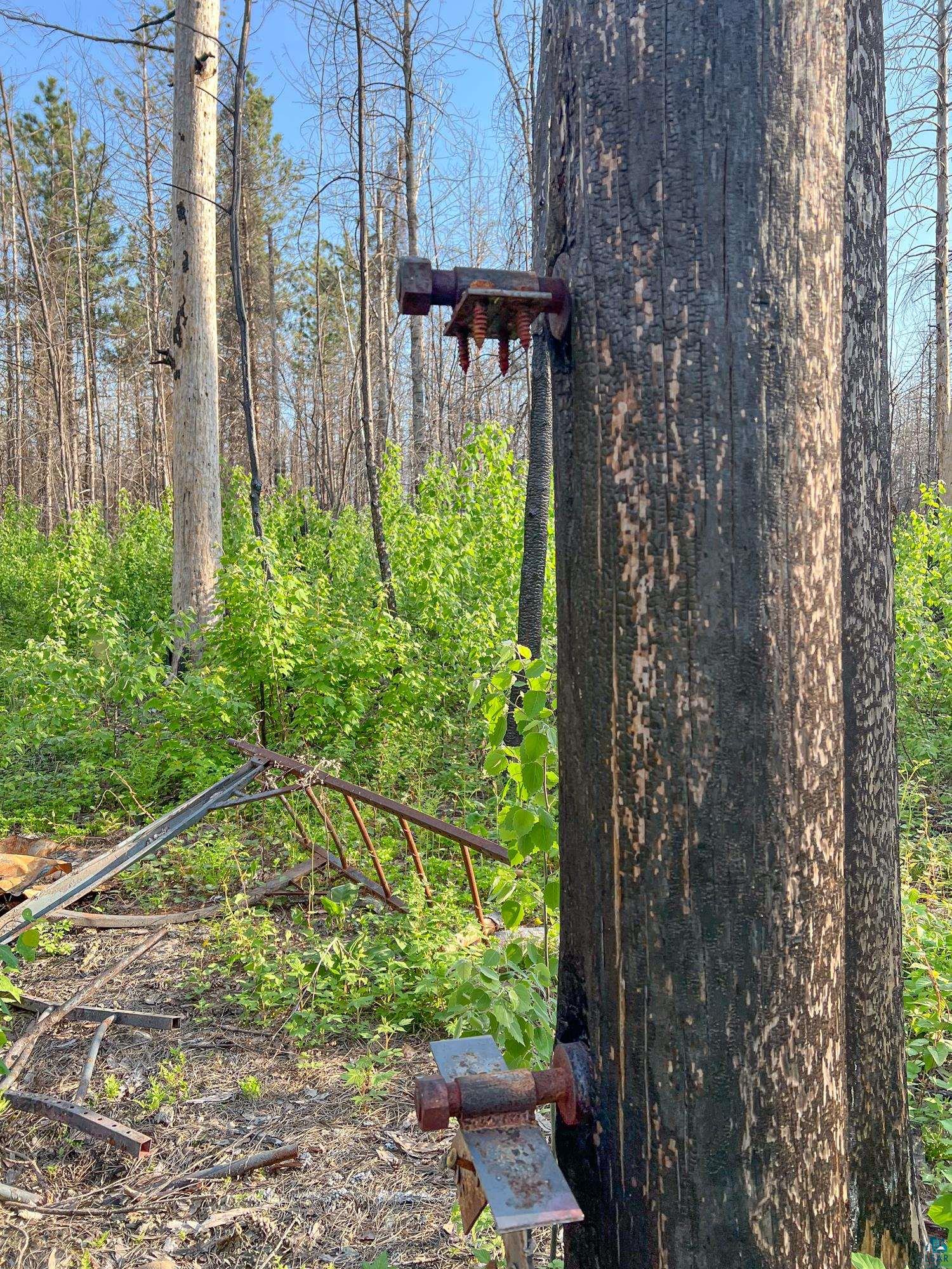 Xxxtbd Xxxtbd Moose Loop Orr, MN 55771 - Photo 33 of 45