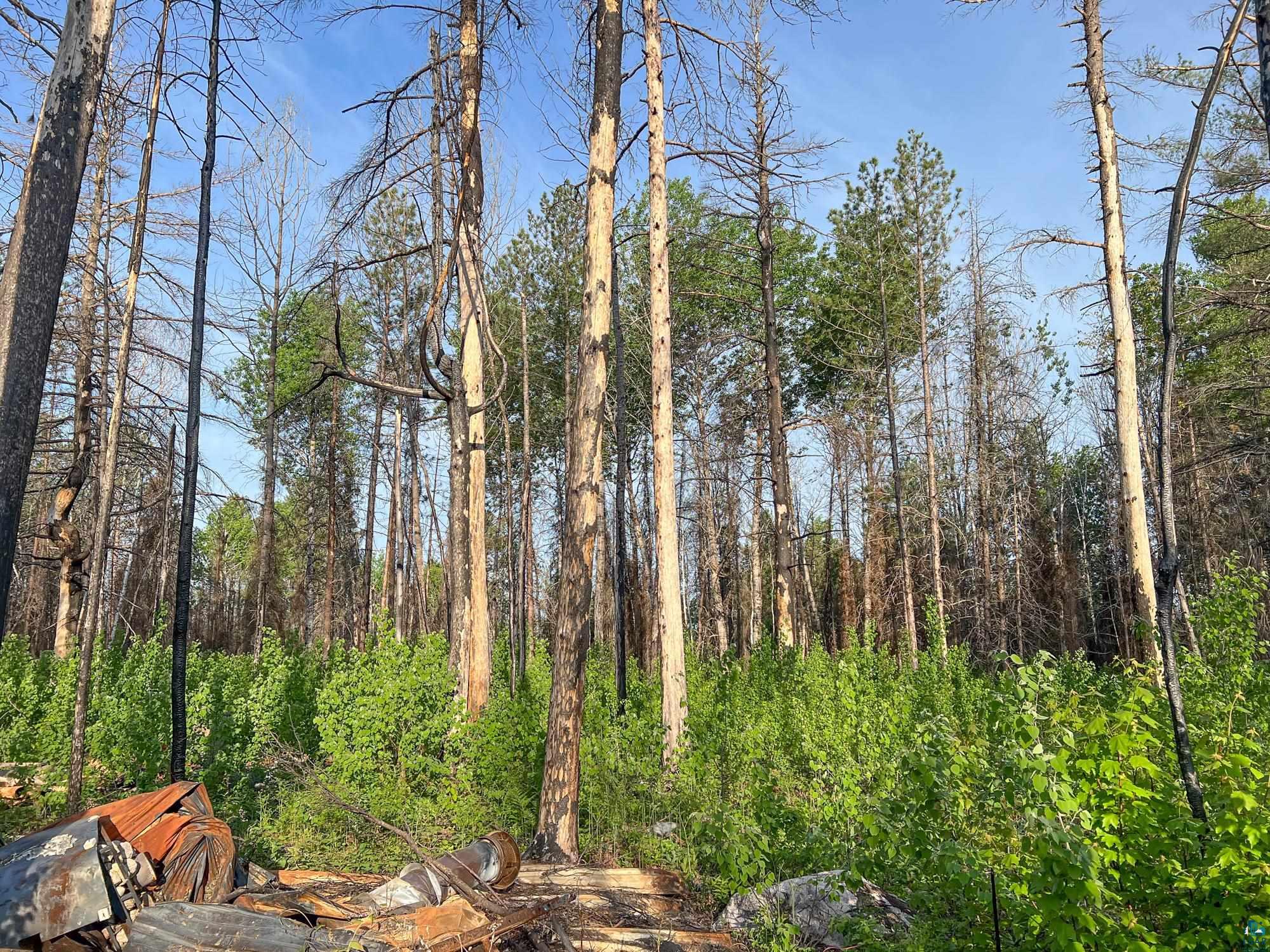 Xxxtbd Xxxtbd Moose Loop Orr, MN 55771 - Photo 35 of 45