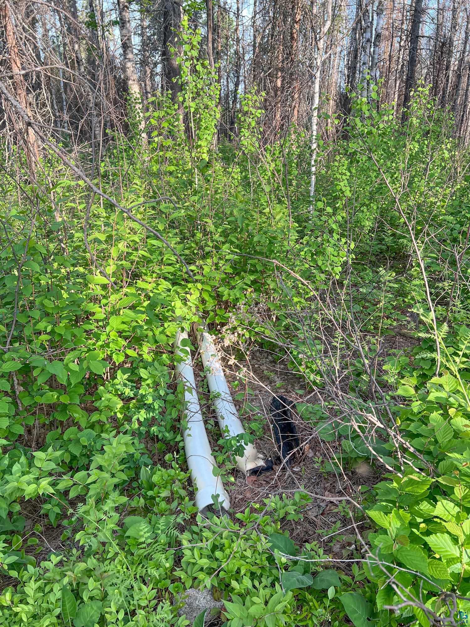 Xxxtbd Xxxtbd Moose Loop Orr, MN 55771 - Photo 36 of 45