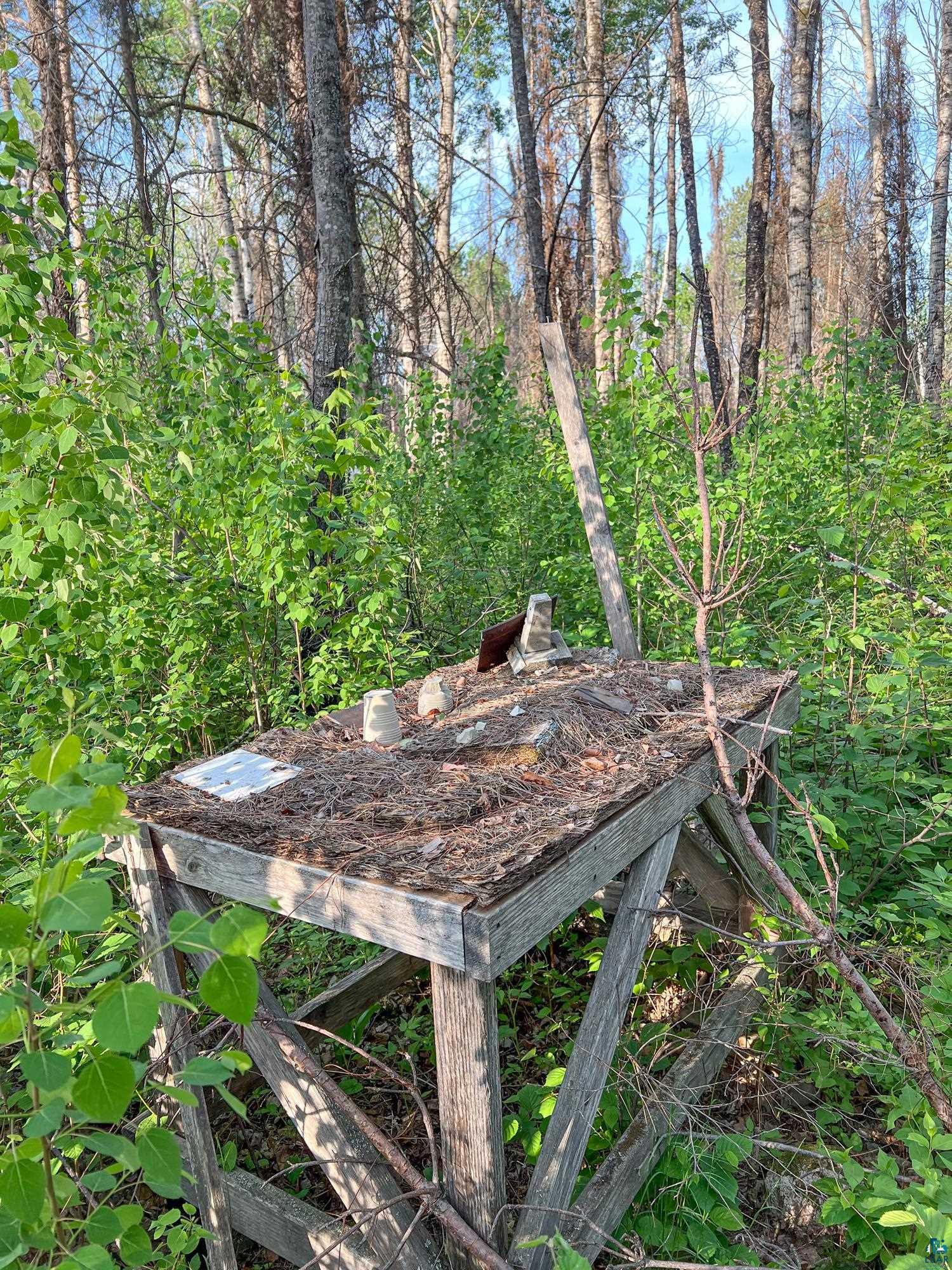 Xxxtbd Xxxtbd Moose Loop Orr, MN 55771 - Photo 37 of 45