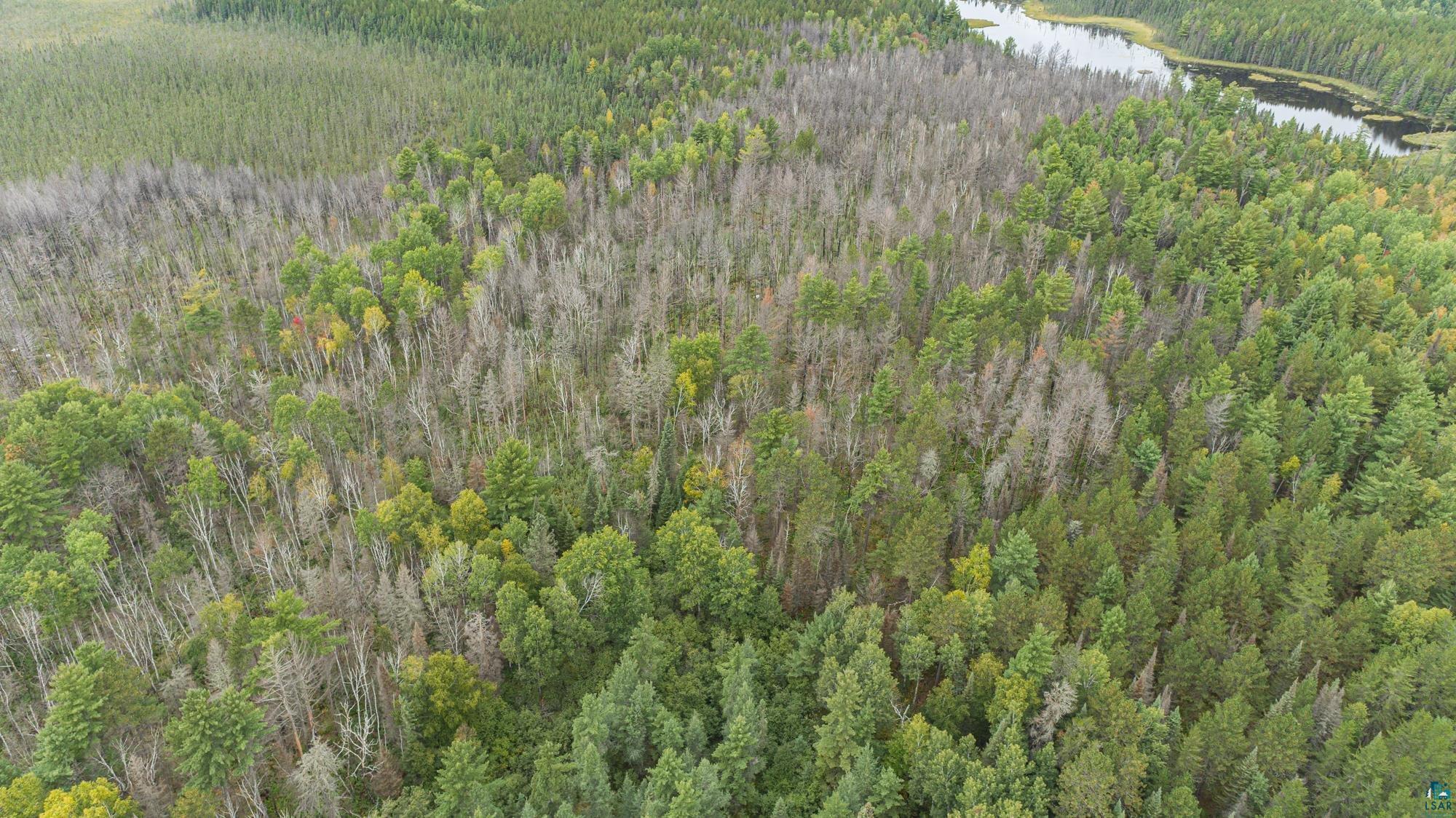 Xxxtbd Xxxtbd Moose Loop Orr, MN 55771 - Photo 4 of 45