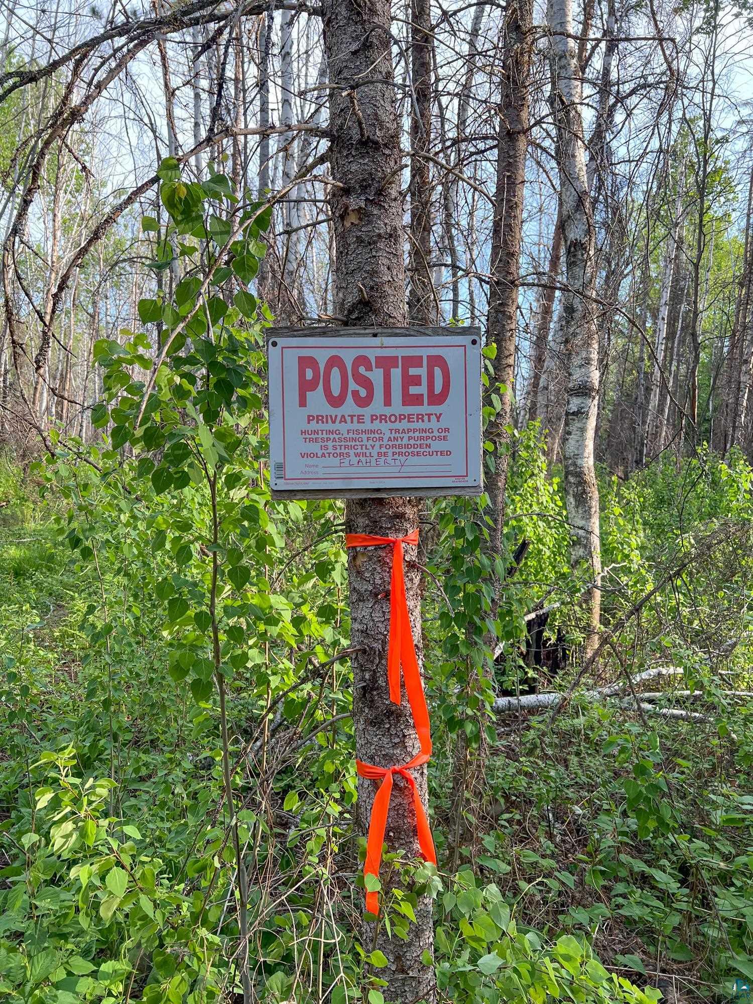 Xxxtbd Xxxtbd Moose Loop Orr, MN 55771 - Photo 41 of 45