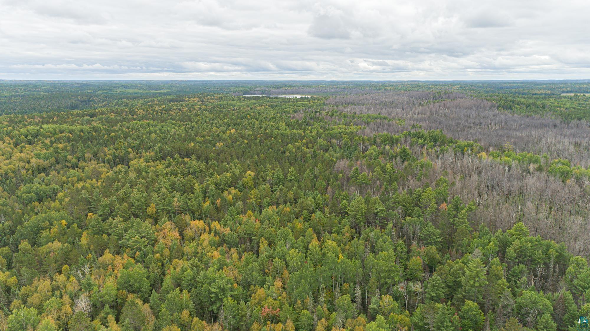 Xxxtbd Xxxtbd Moose Loop Orr, MN 55771 - Photo 5 of 45