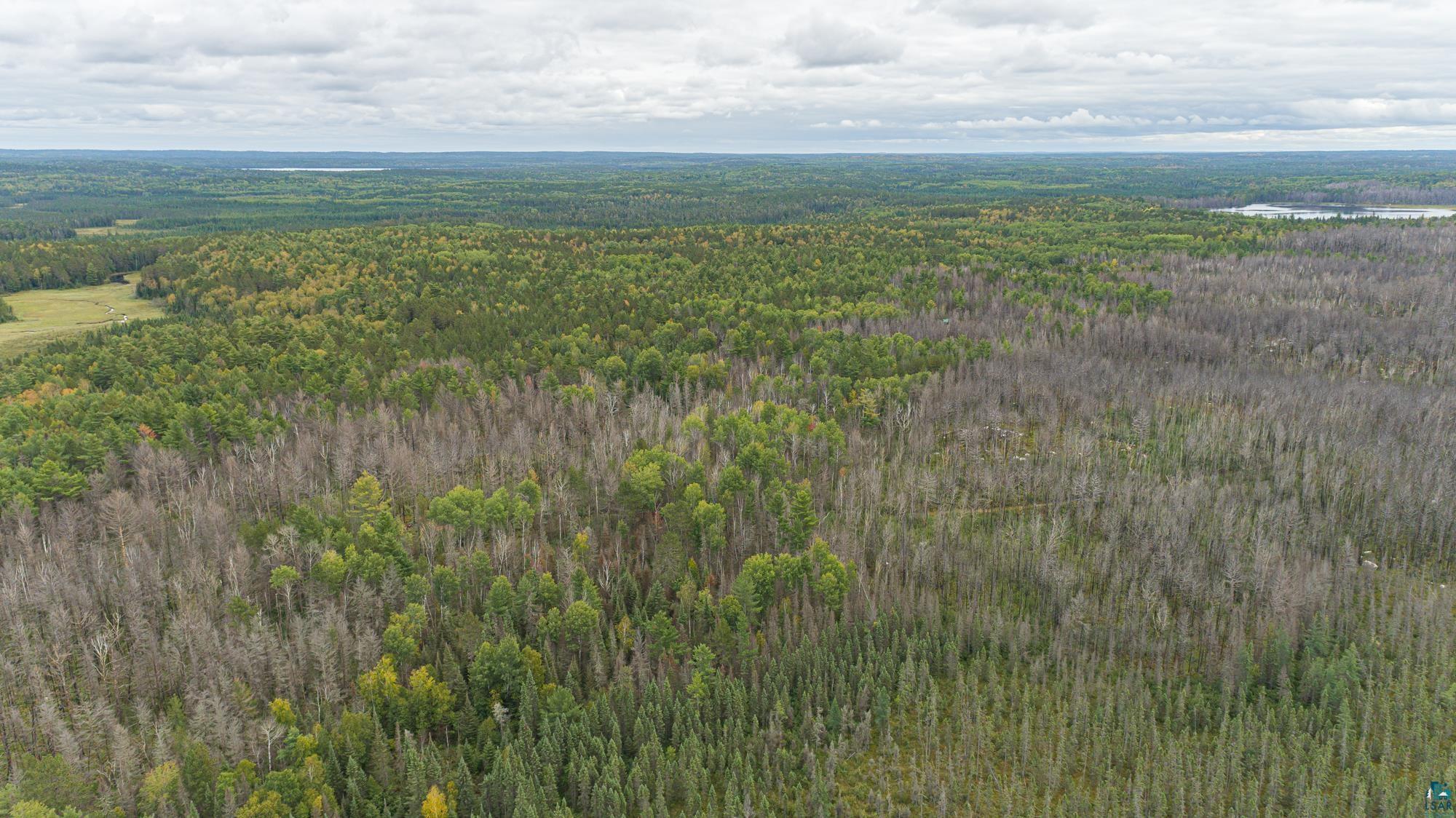 Xxxtbd Xxxtbd Moose Loop Orr, MN 55771 - Photo 6 of 45