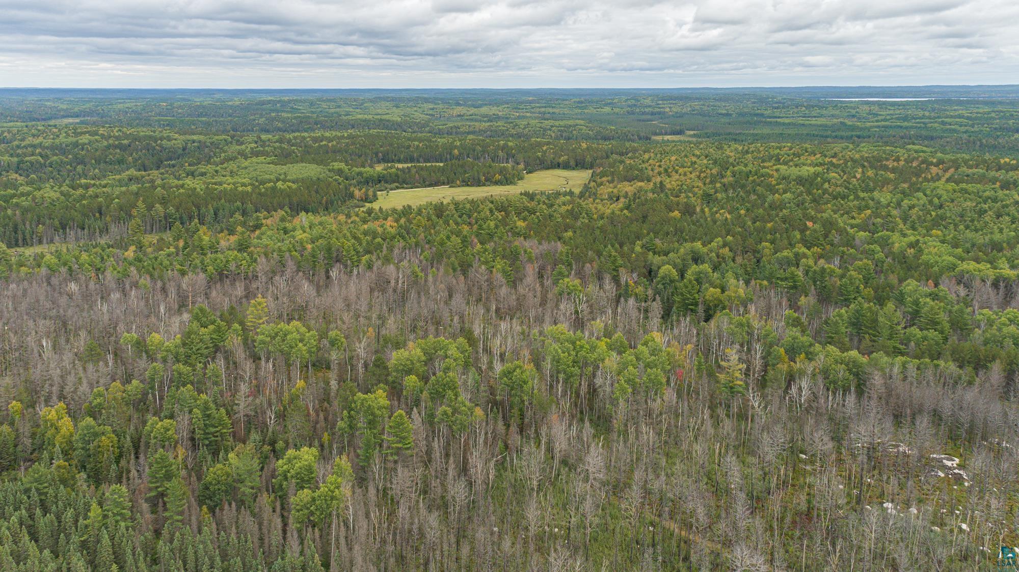 Xxxtbd Xxxtbd Moose Loop Orr, MN 55771 - Photo 8 of 45