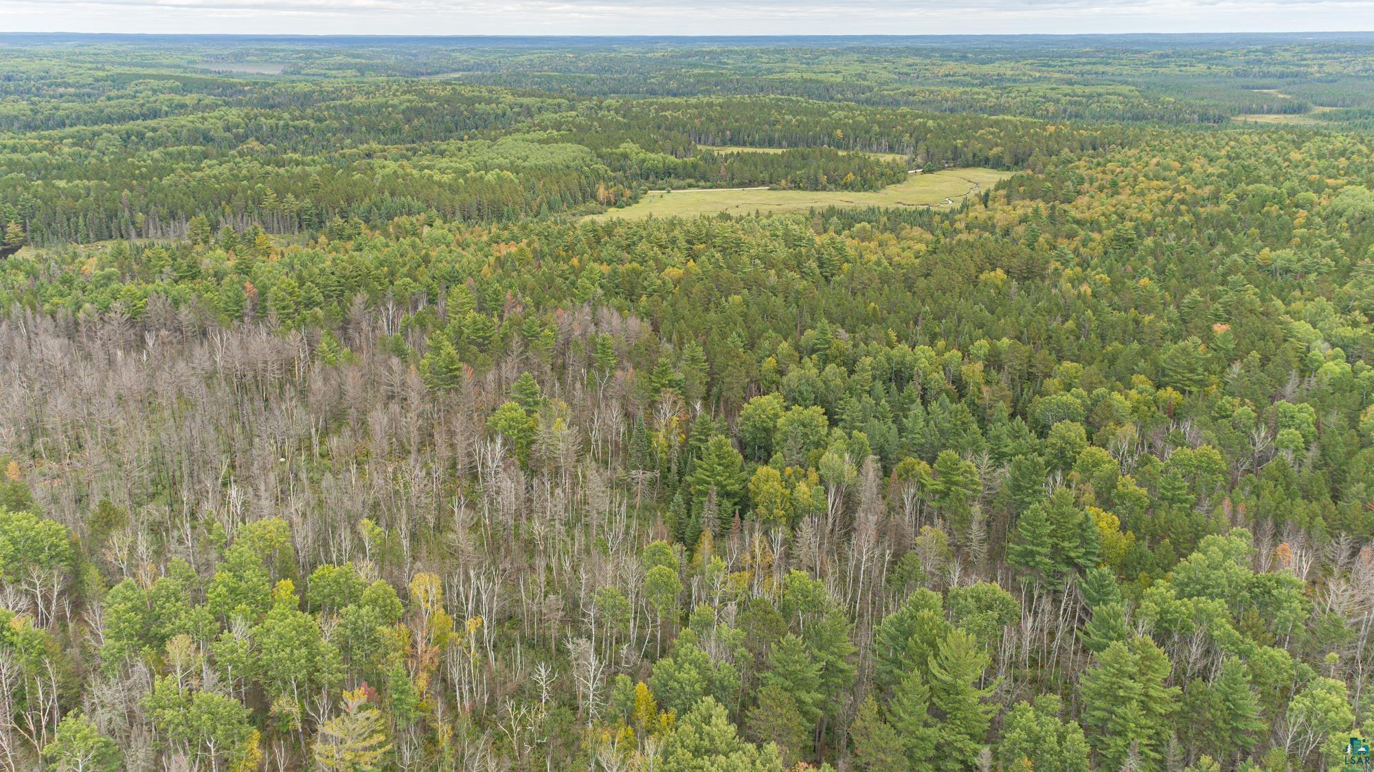 Xxxtbd Xxxtbd Moose Loop Orr, MN 55771 - Photo 9 of 45
