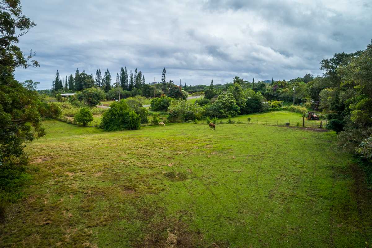 2229 Haiku Road Haiku, HI 96708 - Photo 15 of 28 a view of a green field with lots of bushes
