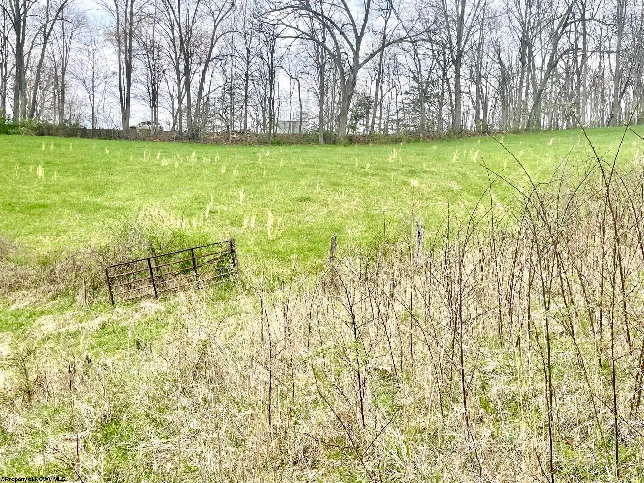 Tbd McCanns Run Road Jane Lew, WV 26378 - Photo 23 of 36 Gallery Image 23