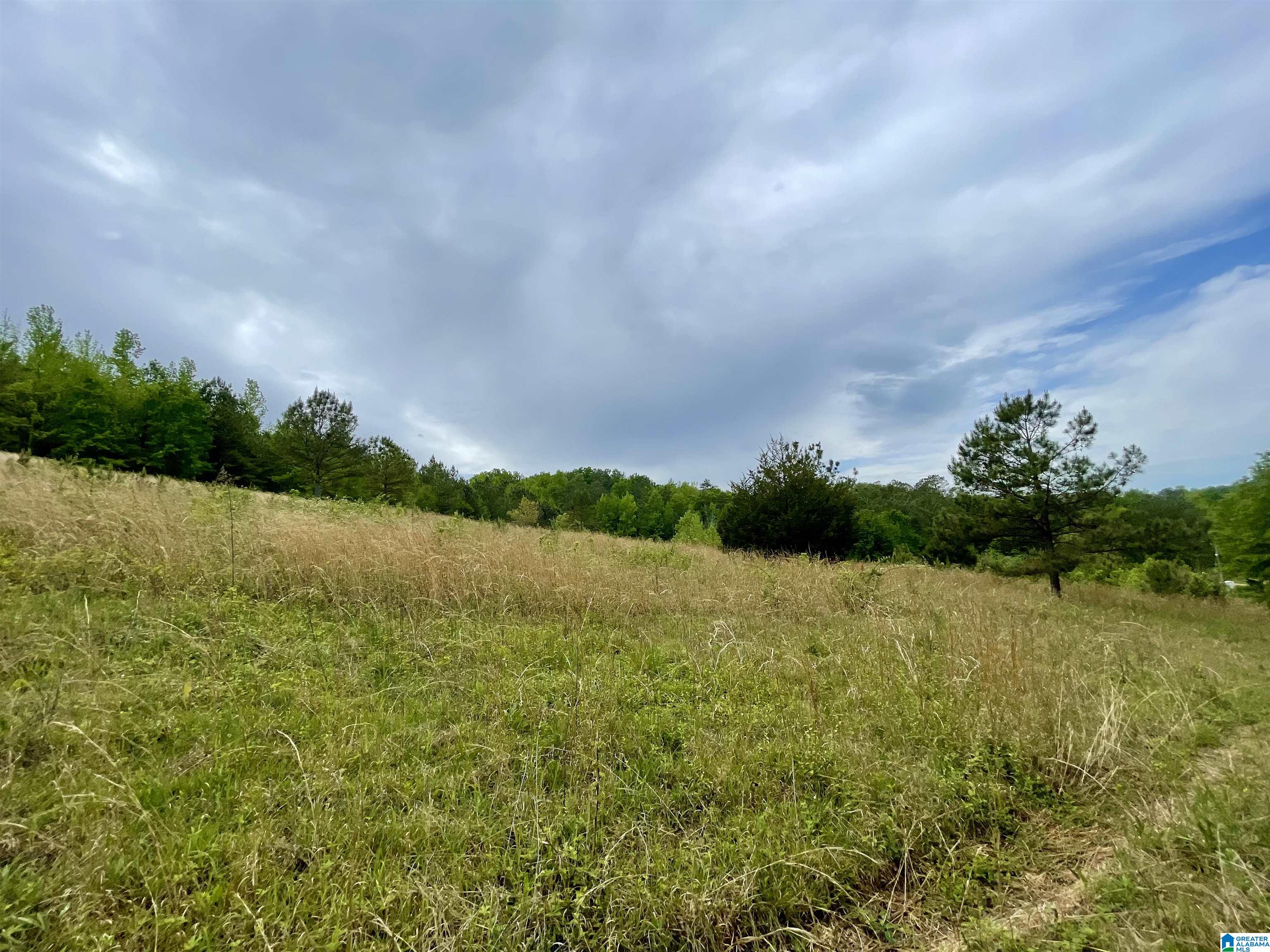 3927 Brazel Mill Road Altoona, AL 35952 - Photo 8 of 21