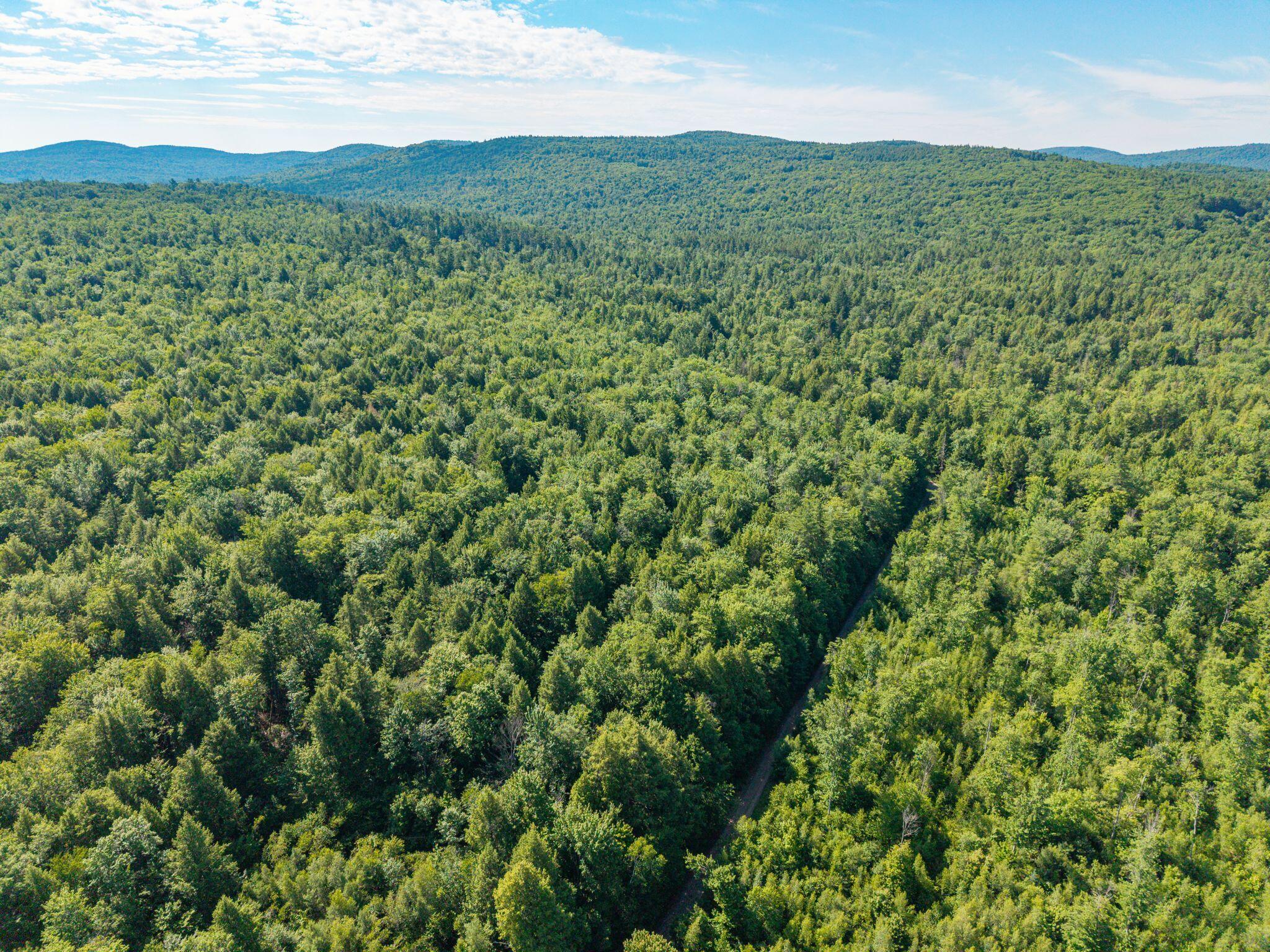 129 Hobbs Swamp Road Parsonsfield, ME 04047 - Photo 4 of 11 Hobb_Swamp_Rd_010