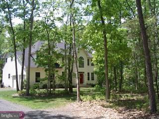 774 McKendimen Road Shamong, NJ 08088 - Photo 1 of 6
