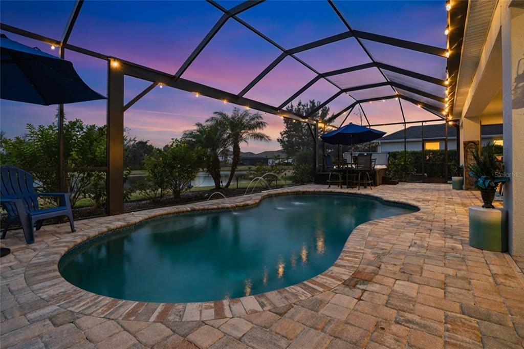 33564 Willow Point Court Wesley Chapel, FL 33545 - Photo 36 of 99