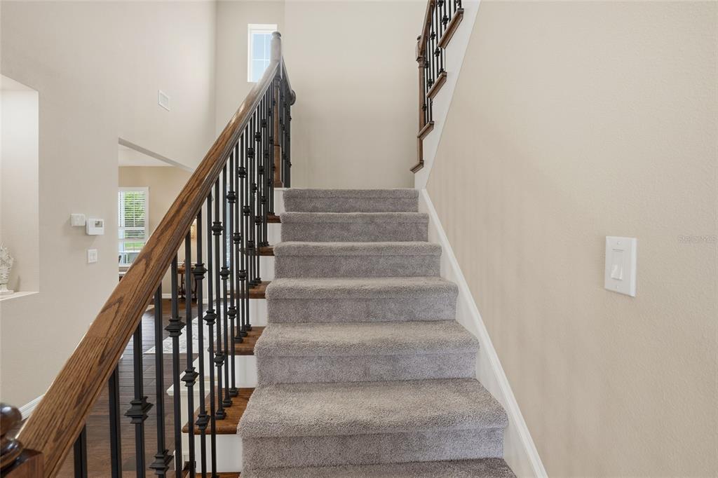 33564 Willow Point Court Wesley Chapel, FL 33545 - Photo 38 of 99