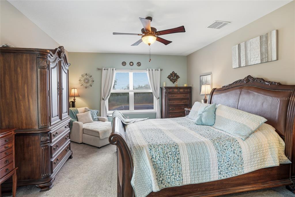 33564 Willow Point Court Wesley Chapel, FL 33545 - Photo 41 of 99