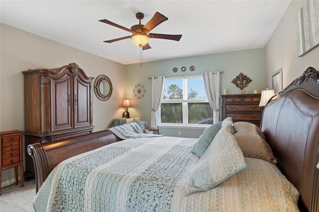 33564 Willow Point Court Wesley Chapel, FL 33545 - Photo 42 of 99