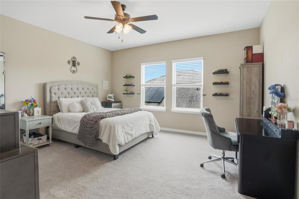 33564 Willow Point Court Wesley Chapel, FL 33545 - Photo 50 of 99