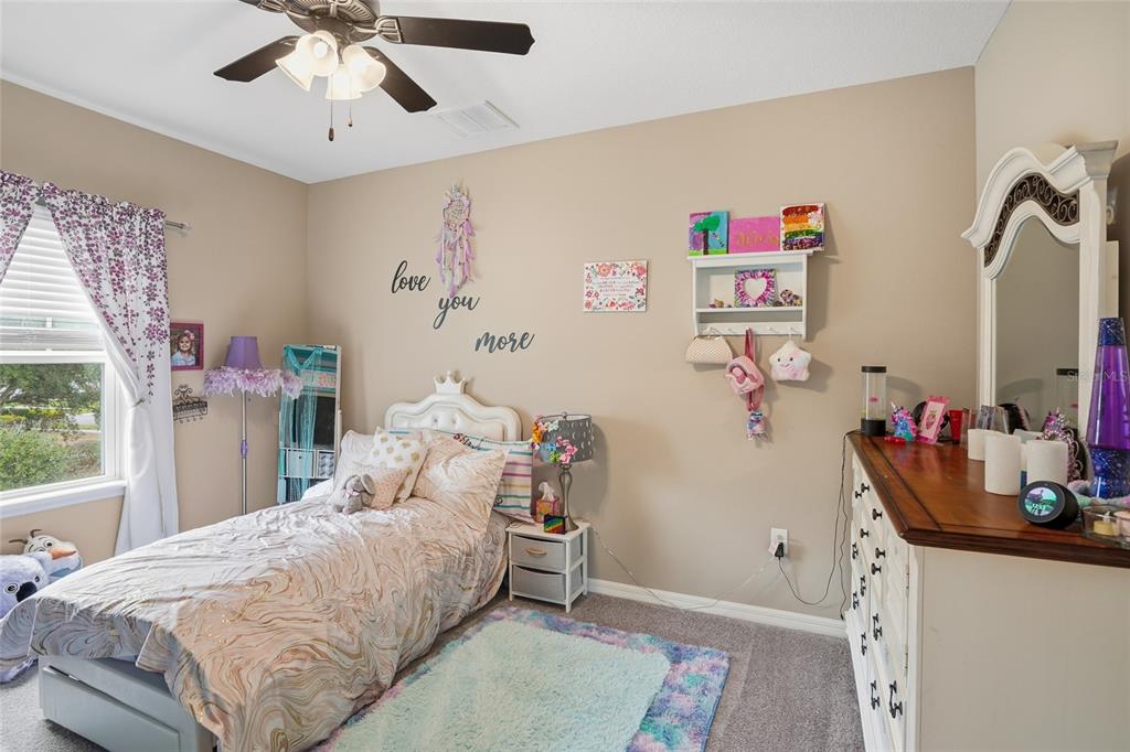 33564 Willow Point Court Wesley Chapel, FL 33545 - Photo 51 of 99