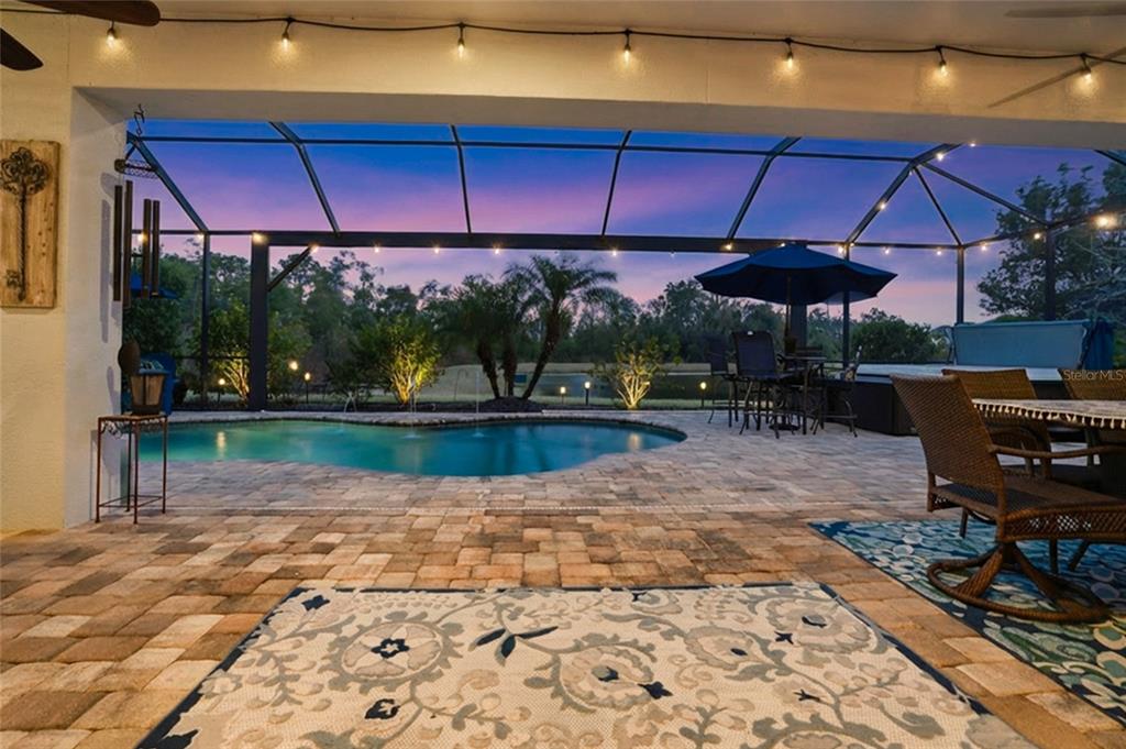 33564 Willow Point Court Wesley Chapel, FL 33545 - Photo 56 of 99