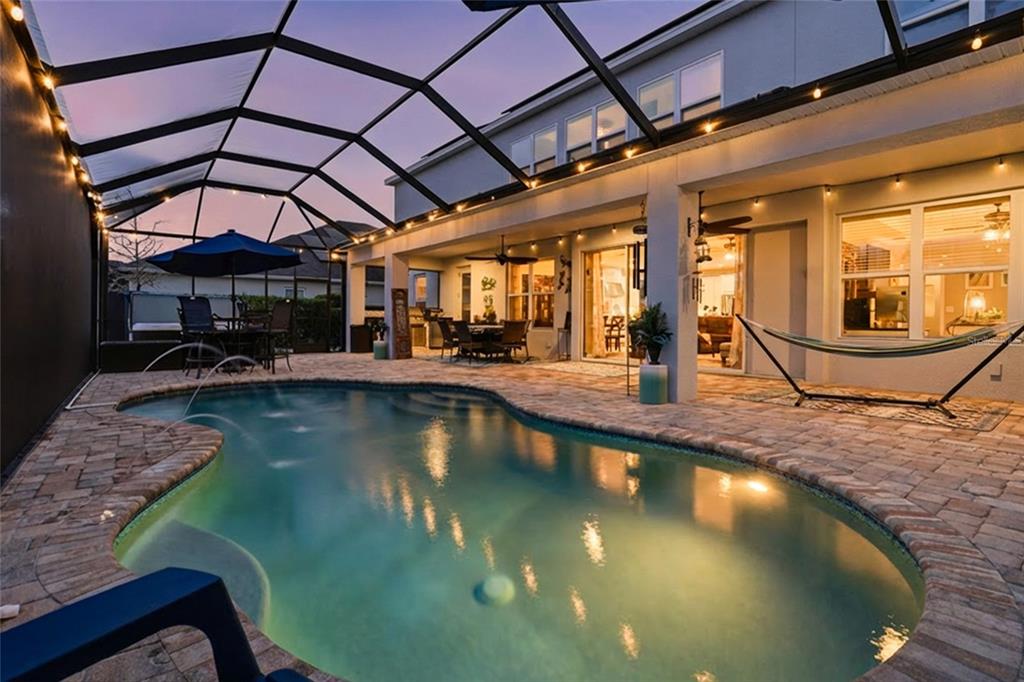 33564 Willow Point Court Wesley Chapel, FL 33545 - Photo 61 of 99