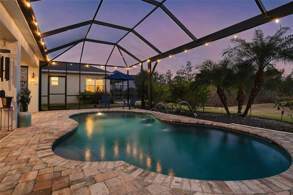 33564 Willow Point Court Wesley Chapel, FL 33545 - Photo 62 of 99