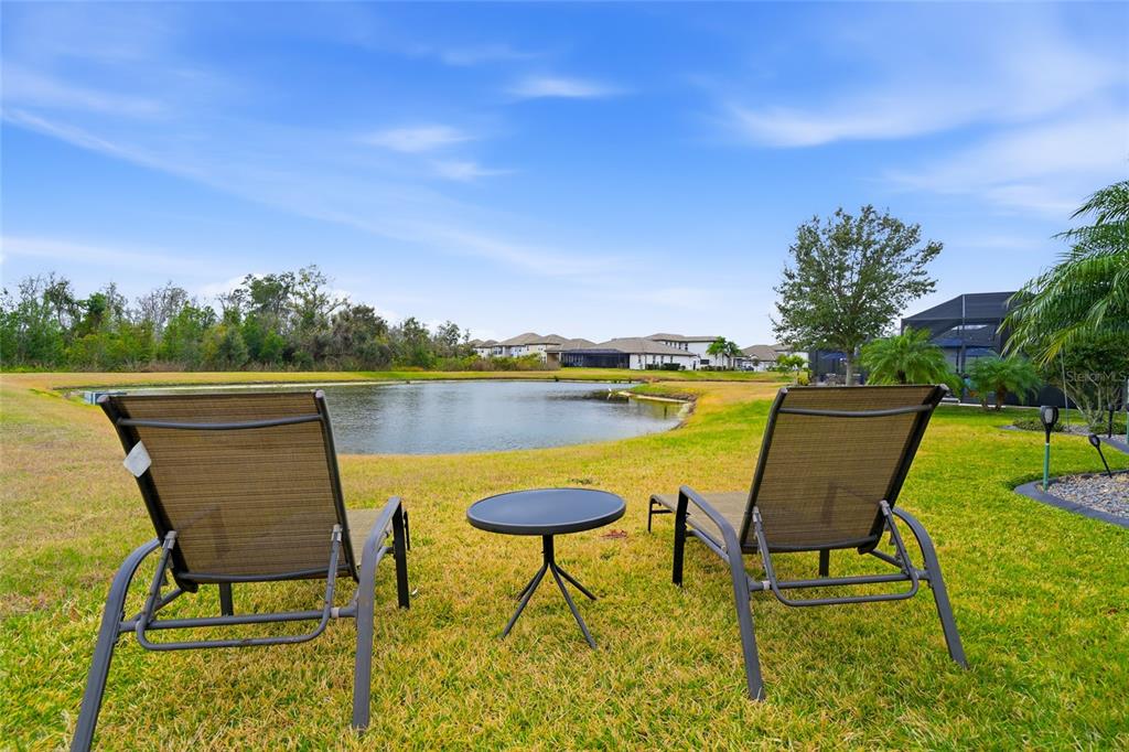 33564 Willow Point Court Wesley Chapel, FL 33545 - Photo 72 of 99