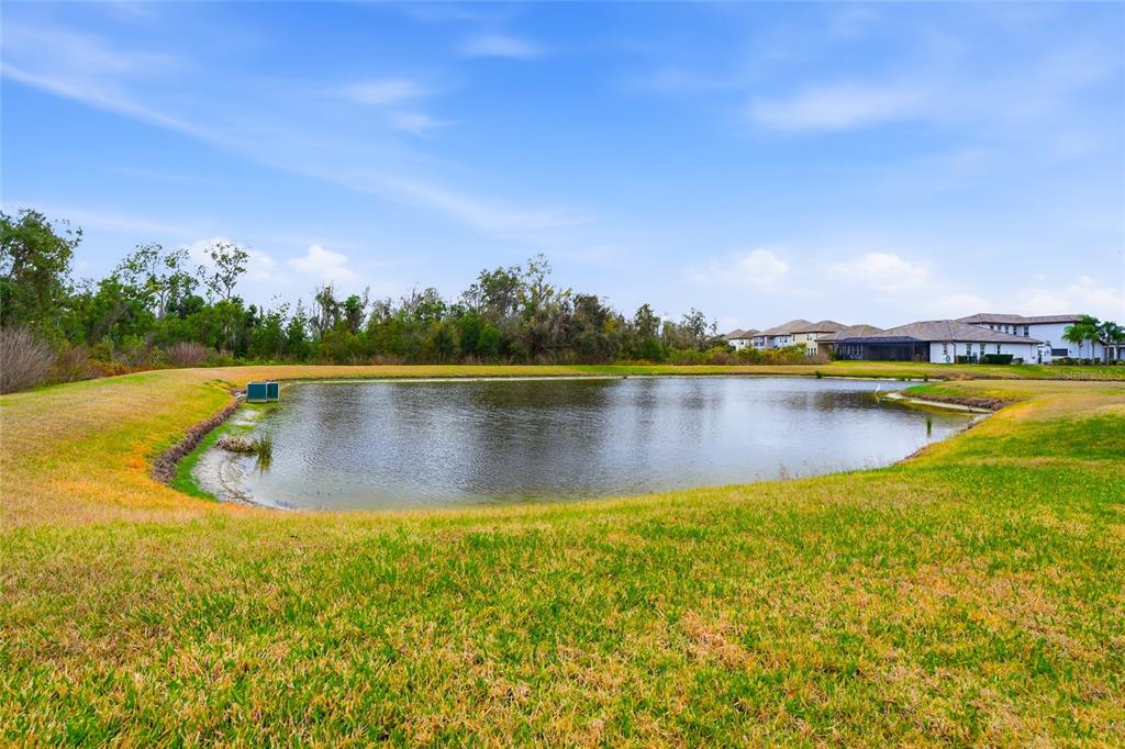 33564 Willow Point Court Wesley Chapel, FL 33545 - Photo 73 of 99