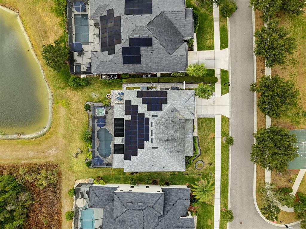 33564 Willow Point Court Wesley Chapel, FL 33545 - Photo 77 of 99