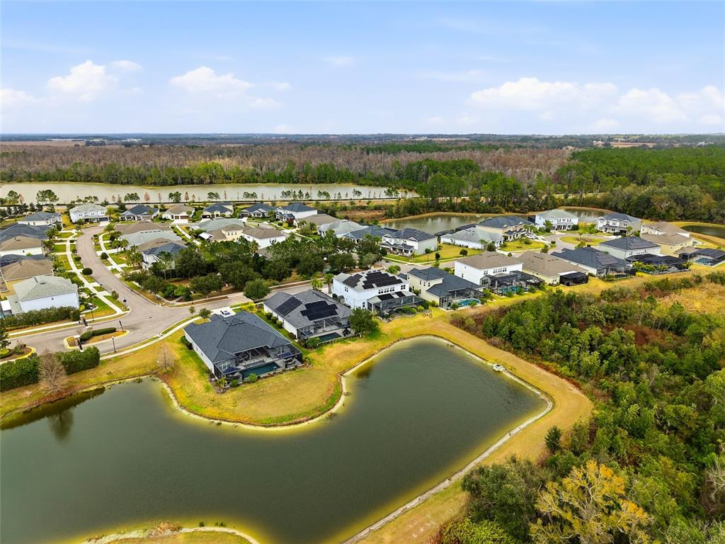 33564 Willow Point Court Wesley Chapel, FL 33545 - Photo 79 of 99