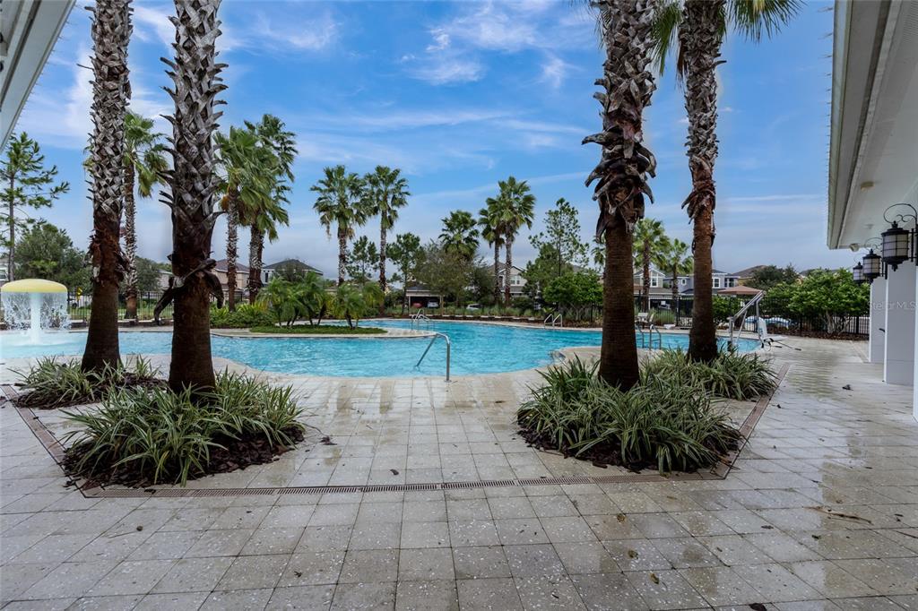 33564 Willow Point Court Wesley Chapel, FL 33545 - Photo 86 of 99