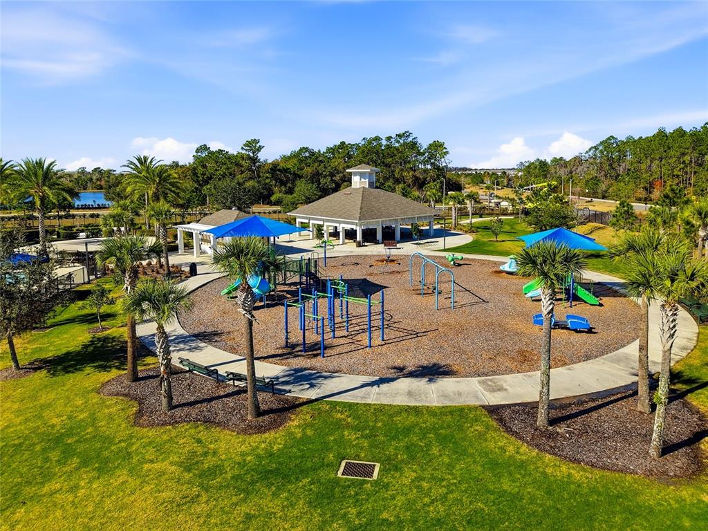 33564 Willow Point Court Wesley Chapel, FL 33545 - Photo 99 of 99