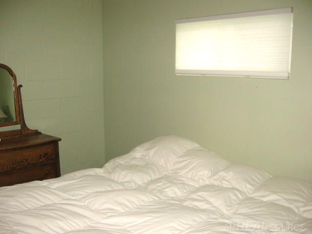5687 Walker Road Applegate, MI 48401 - Photo 14 of 28 31246366-13.JPG