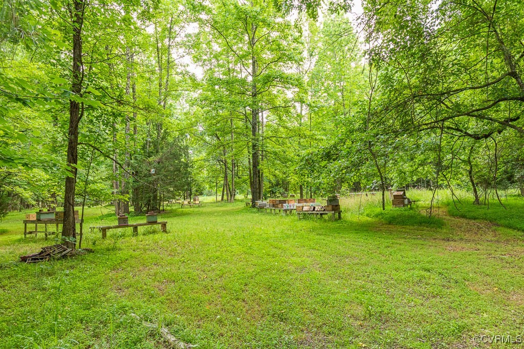 6231 Pine Fork Road Quinton, VA 23124 - Photo 46 of 50 Gallery Image 46