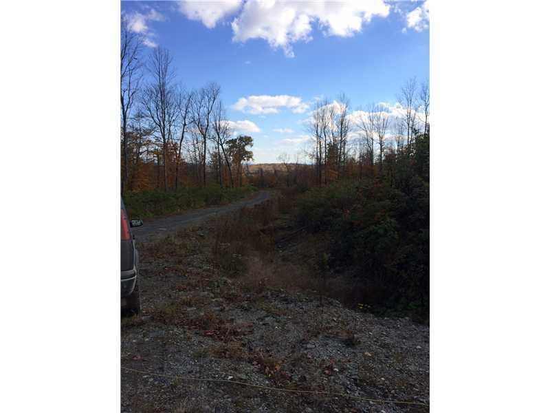 Tbd Bradley Brook Road Greenville, ME 04441 - Photo 1 of 2 Land/Lot.