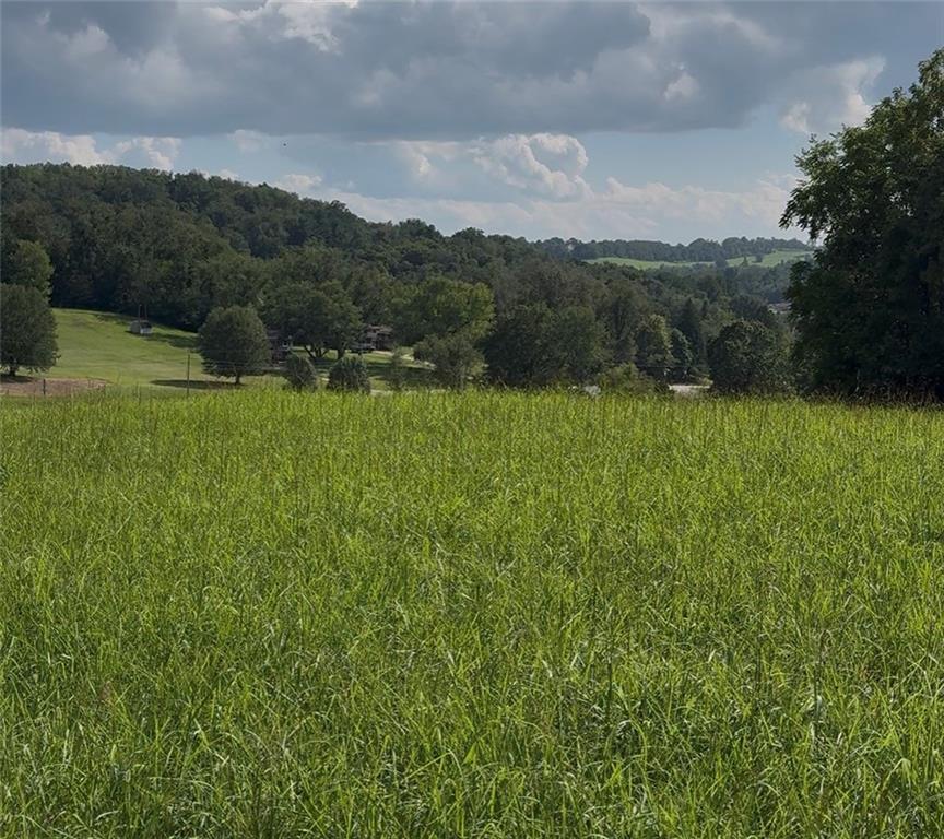 0 Dickerson Run Road Vanderbilt, PA 15486 - Photo 5 of 13 Gallery Image 5