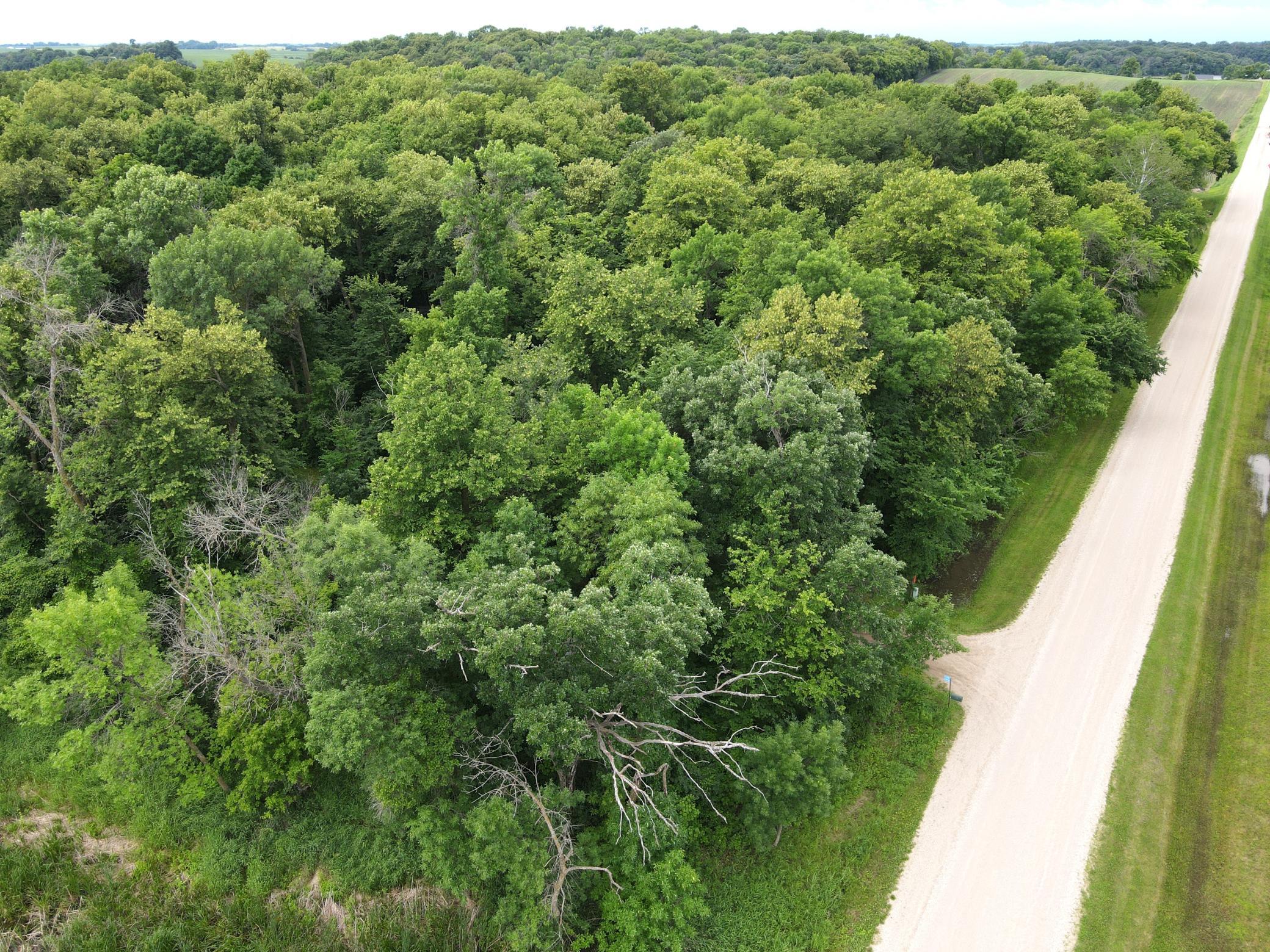 23676 Veitenheimer Road Dalton, MN 56324 - Photo 19 of 33