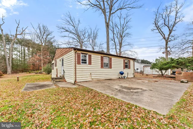 a white house with a large tree in front of it