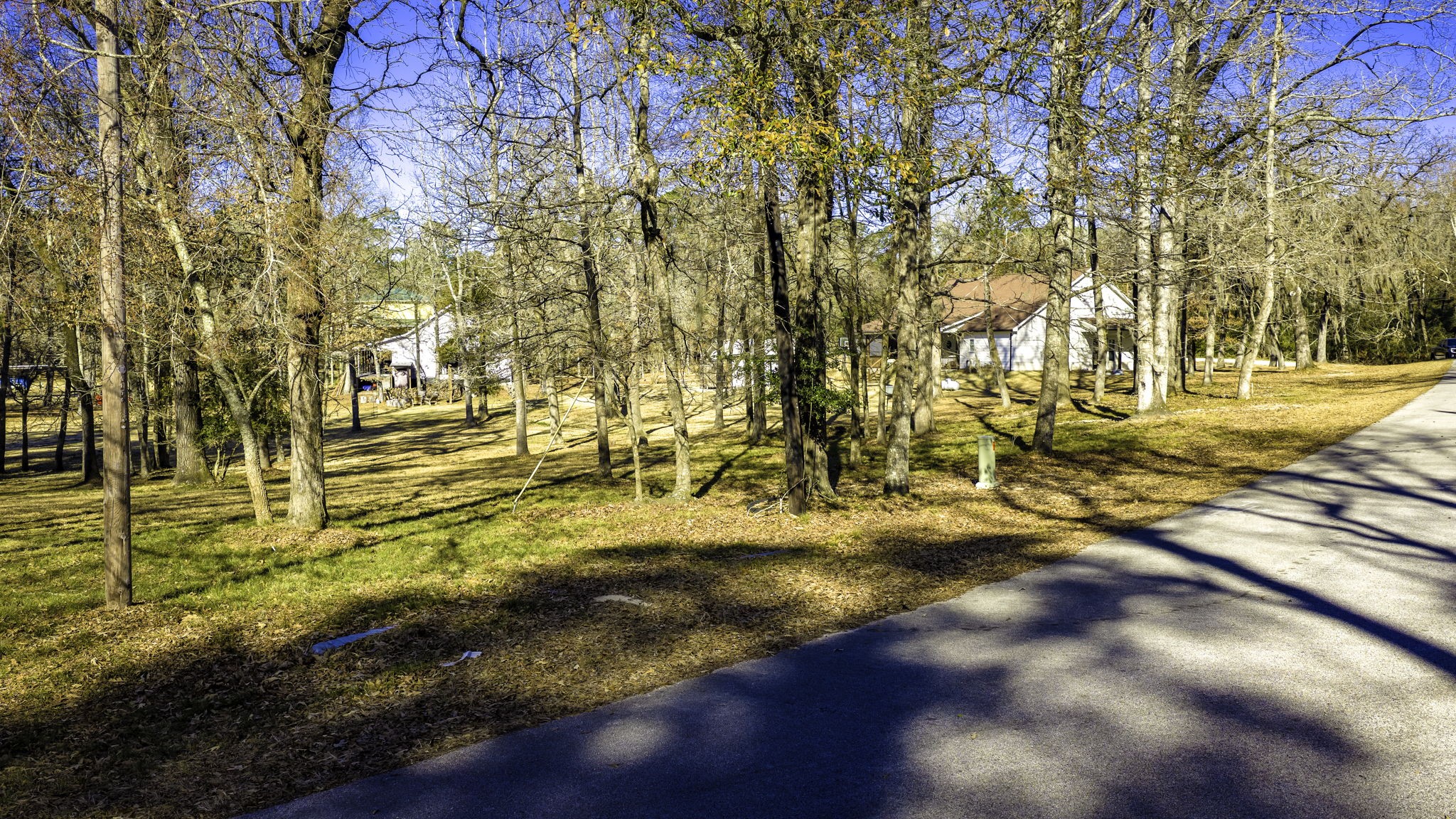 3031 Red Oak Lane Trinity, TX 75862 - Photo 2 of 11