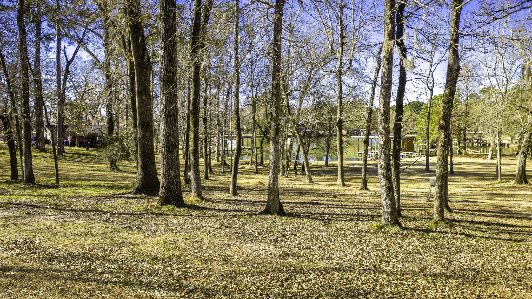 3031 Red Oak Lane Trinity, TX 75862 - Photo 3 of 11