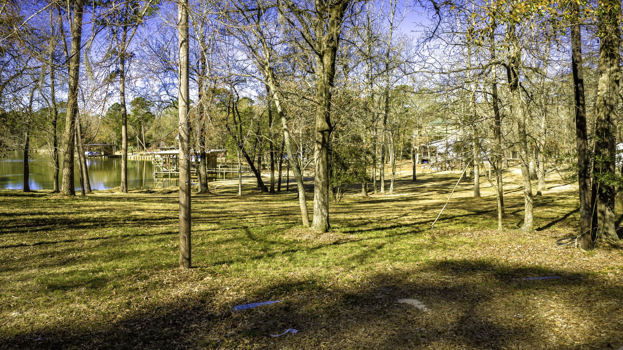 3031 Red Oak Lane Trinity, TX 75862 - Photo 4 of 11