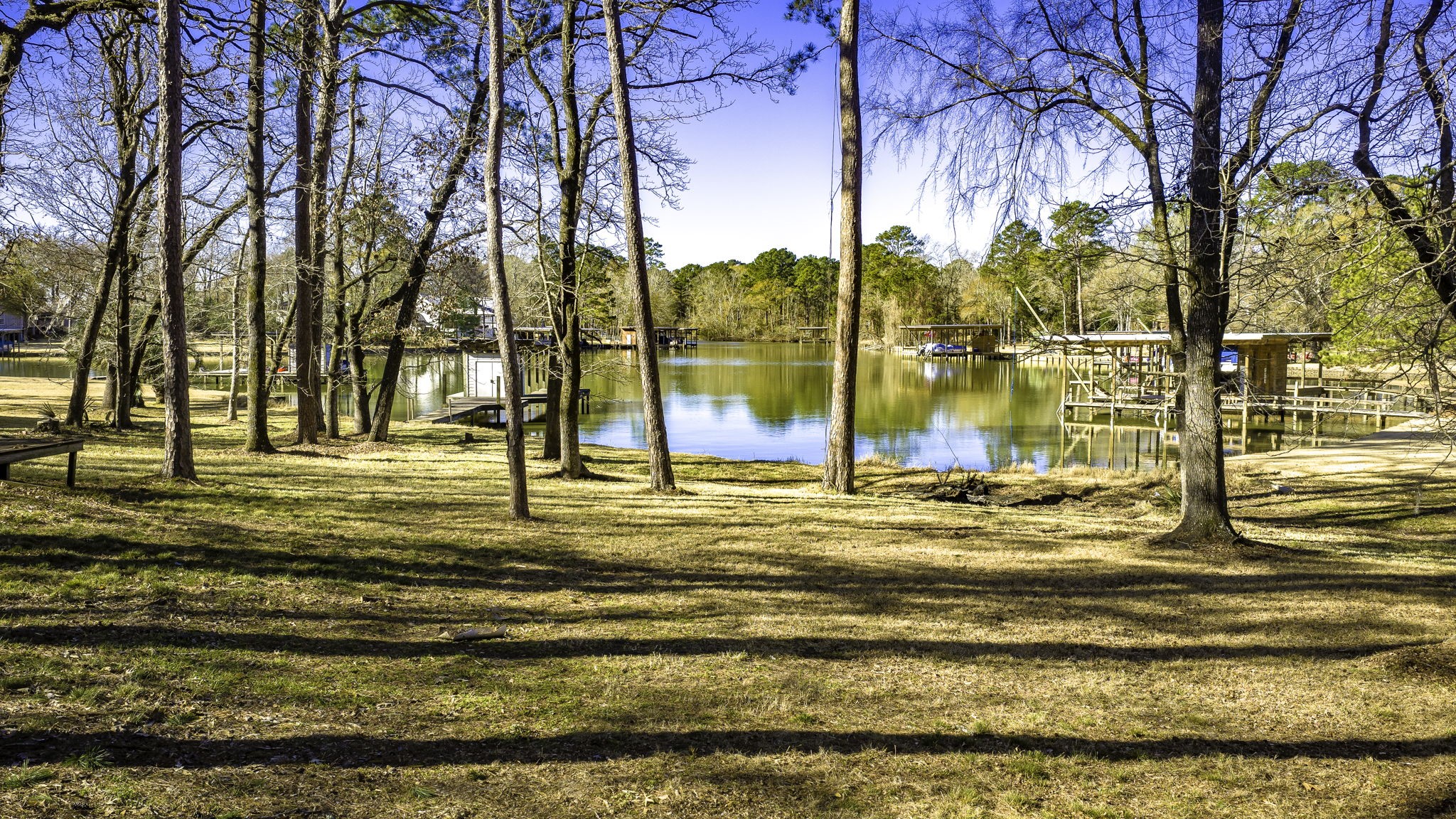 3031 Red Oak Lane Trinity, TX 75862 - Photo 5 of 11